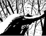 Dario-Panzeri-–-Perso-nel-bosco-stretta-e1541157229794